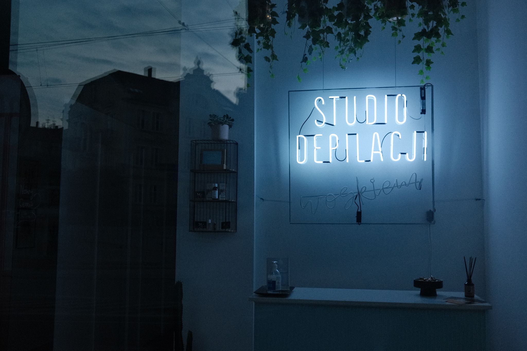 Neon signage inside a stylish studio with plants and decor, featuring an illuminated text.